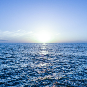 Aegean Fresh Πρώτες Ύλες για κεριά & αρώματα