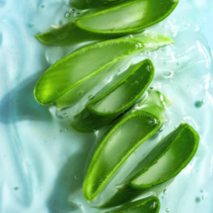 Aloe Milk Πρώτες Ύλες για κεριά & αρώματα