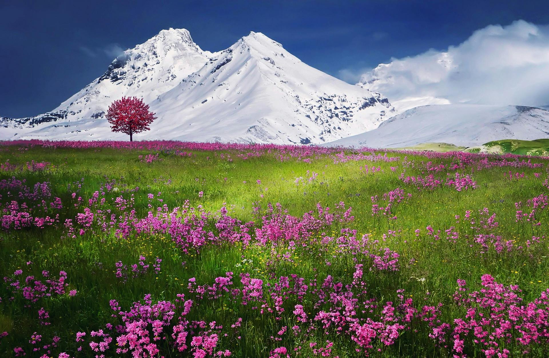 Bloom Valley Πρώτες Ύλες για κεριά & αρώματα