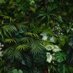 Botanical Πρώτες Ύλες για κεριά & αρώματα