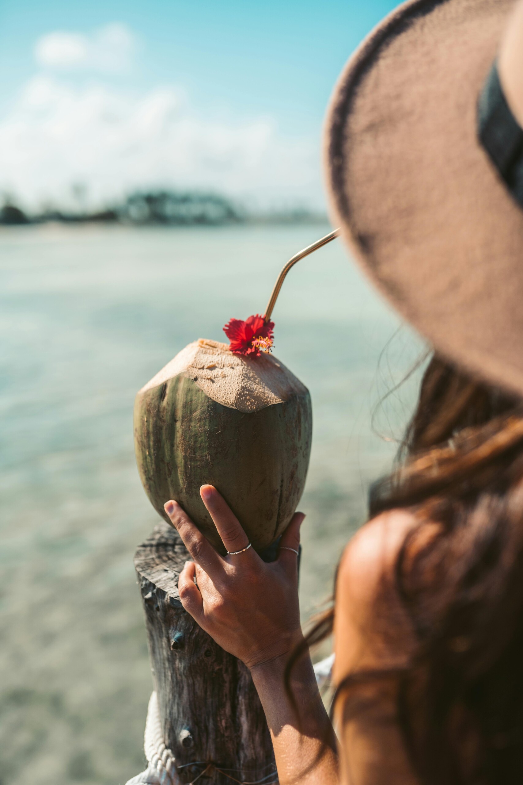Coconut & Sea Salt ✦ PREMIUM Πρώτες Ύλες για κεριά & αρώματα