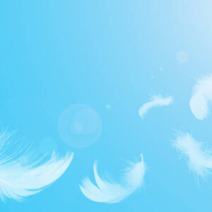 Feather Touch Πρώτες Ύλες για κεριά & αρώματα