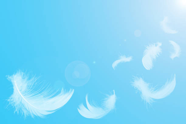Feather Touch Πρώτες Ύλες για κεριά & αρώματα