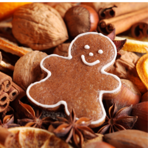 Gingerbread ✦ PREMIUM Πρώτες Ύλες για κεριά & αρώματα