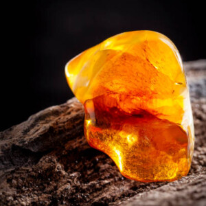 Gold Amber ✦ PREMIUM Πρώτες Ύλες για κεριά & αρώματα