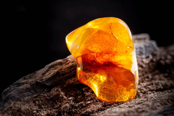 Gold Amber ✦ PREMIUM Πρώτες Ύλες για κεριά & αρώματα