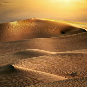 Golden Desert ✦ PREMIUM Πρώτες Ύλες για κεριά & αρώματα