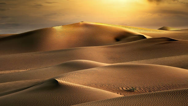 Golden Desert ✦ PREMIUM Πρώτες Ύλες για κεριά & αρώματα