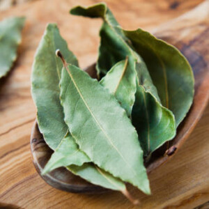 Laurel Πρώτες Ύλες για κεριά & αρώματα