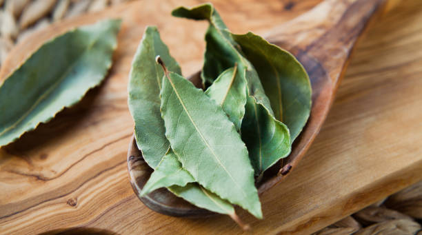 Laurel Πρώτες Ύλες για κεριά & αρώματα