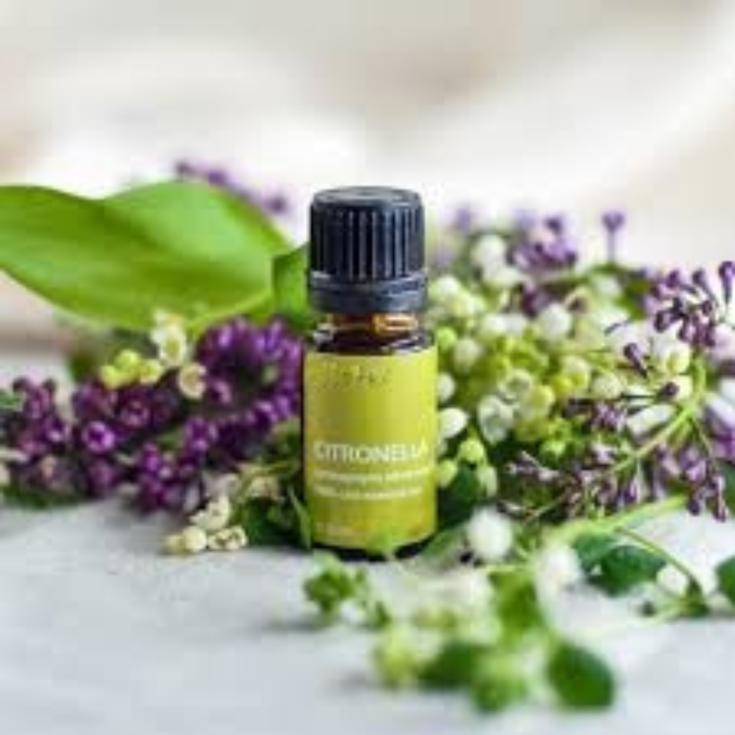 Lavender Citronella Πρώτες Ύλες για κεριά & αρώματα