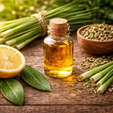 Lemon Citronella Πρώτες Ύλες για κεριά & αρώματα