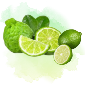 Lime Pergamonto ✦ PREMIUM Πρώτες Ύλες για κεριά & αρώματα
