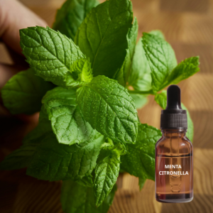 Menta Citronella Πρώτες Ύλες για κεριά & αρώματα