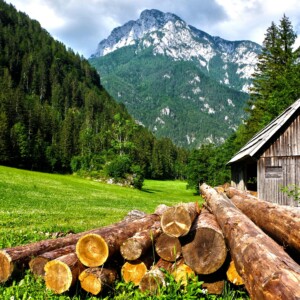 Mountain Fresh Πρώτες Ύλες για κεριά & αρώματα