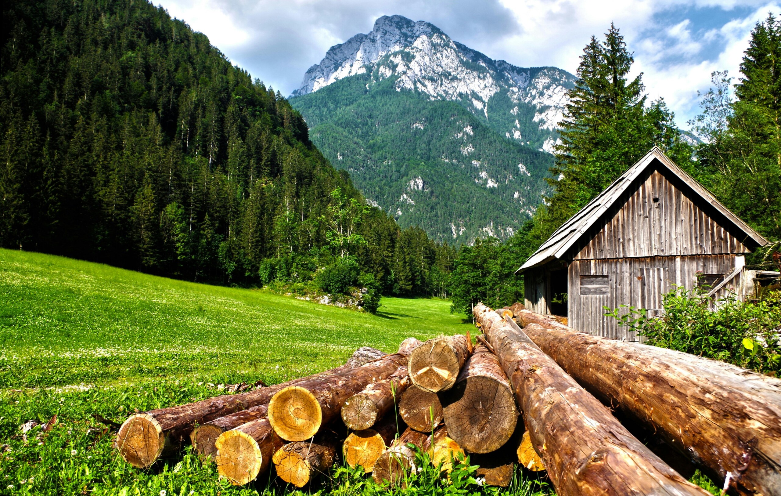 Mountain Fresh Πρώτες Ύλες για κεριά & αρώματα