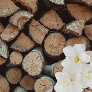 Musk & Wood Πρώτες Ύλες για κεριά & αρώματα