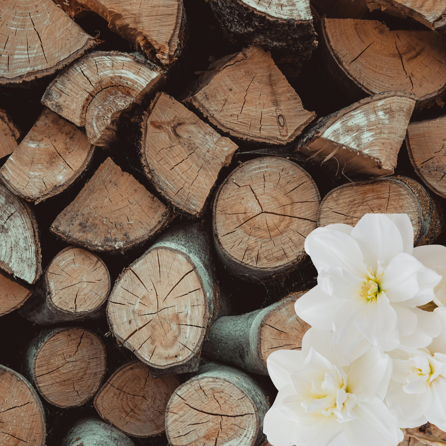Musk & Wood Πρώτες Ύλες για κεριά & αρώματα