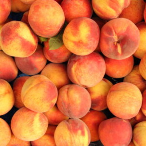 Peach Πρώτες Ύλες για κεριά & αρώματα