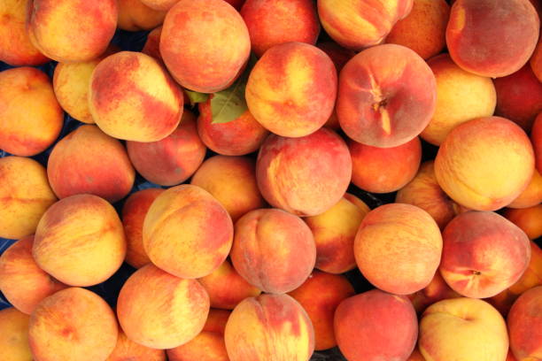 Peach Πρώτες Ύλες για κεριά & αρώματα