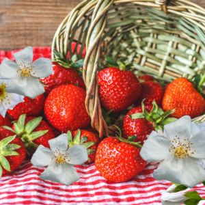 Strawberry Musk Πρώτες Ύλες για κεριά & αρώματα